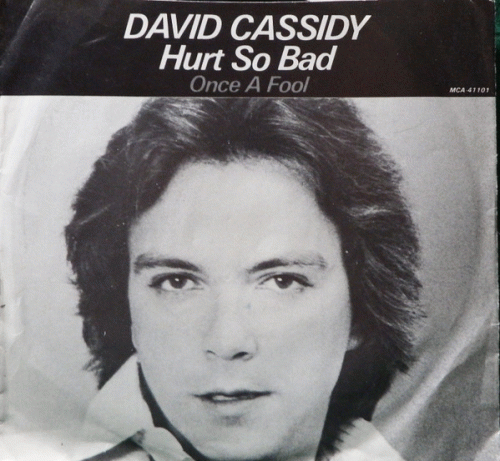 David Cassidy : Hurts So Bad